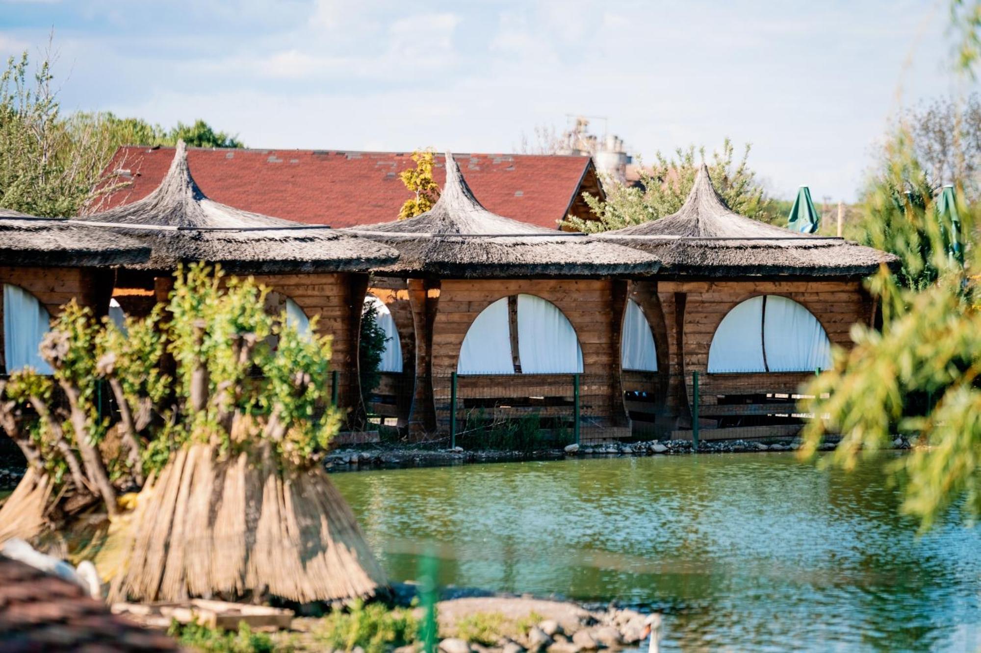 Montana Garden Hotel Răşinari Exterior foto